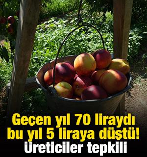 Ge&ccedil;en yıl 70 liraydı bu yıl 5 liraya d&uuml;şt&uuml;! &Uuml;reticiler tepkili