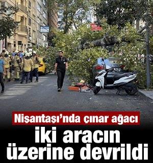 Nişantaşı&rsquo;nda &ccedil;ınar ağacı iki aracın &uuml;zerine devrildi