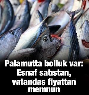 Palamutta bolluk var: Esnaf satıştan, vatandaş fiyattan memnun