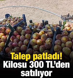 Talep patladı! Kilosu 300 TL'den satılıyor