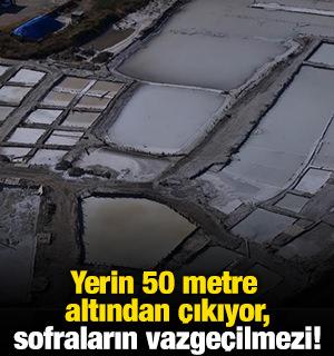 Yerin 50 metre altından &ccedil;ıkıyor, sofraların vazge&ccedil;ilmezi!