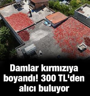 Damlar kırmızıya boyandı! 300 TL'den alıcı buluyor