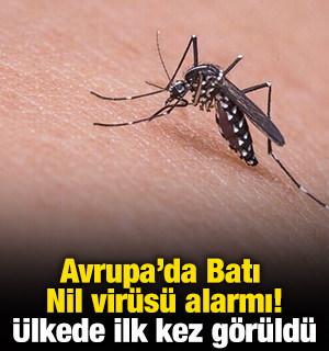Avrupa'da Batı Nil vir&uuml;s&uuml; alarmı! &Uuml;lkede ilk kez g&ouml;r&uuml;ld&uuml;