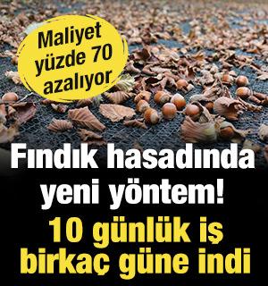 Fındık hasadında yeni y&ouml;ntem! 10 g&uuml;nl&uuml;k iş birka&ccedil; g&uuml;ne indi: Maliyet y&uuml;zde 70 azalıyor