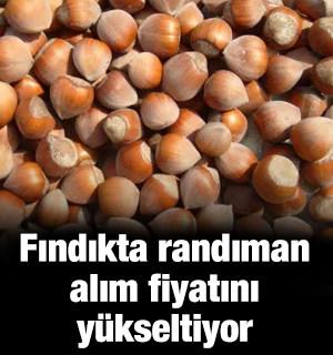 Fındıkta randıman alım fiyatını y&uuml;kseltiyor