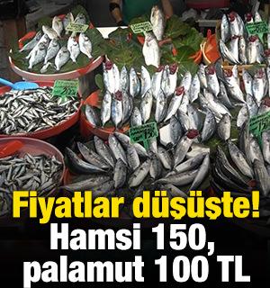 Fiyatlar d&uuml;ş&uuml;şte! Hamsi 150, palamut 100 TL