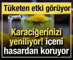 Karaciğerinizi yeniliyor: İ&ccedil;tiğinizde h&uuml;crelerinizi hasardan koruyor!