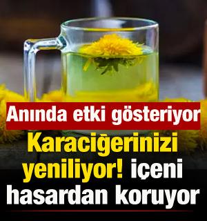 Karaciğerinizi yeniliyor: İ&ccedil;tiğinizde h&uuml;crelerinizi hasardan koruyor!