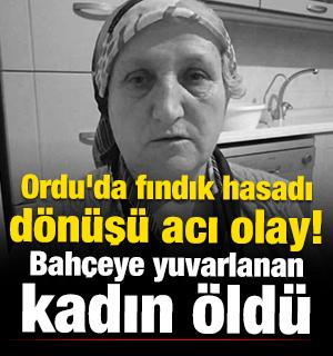 Ordu'da fındık hasadı d&ouml;n&uuml;ş&uuml; acı olay! Bah&ccedil;eye yuvarlanan kadın &ouml;ld&uuml;