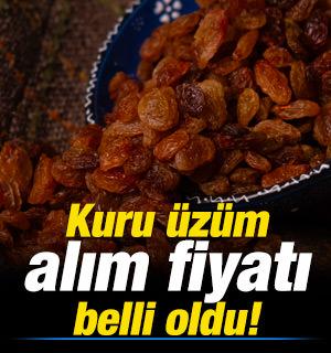 Kuru &uuml;z&uuml;m alım fiyatı belli oldu