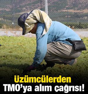 &Uuml;z&uuml;mc&uuml;lerden TMO'ya alım &ccedil;ağrısı!