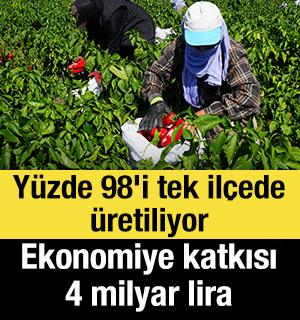 Y&uuml;zde 98'i tek il&ccedil;ede &uuml;retiliyor: Ekonomiye katkısı 4 milyar lira