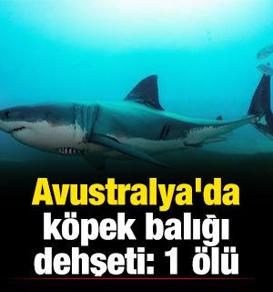 Avustralya'da k&ouml;pek balığı dehşeti: 1 &ouml;l&uuml; 