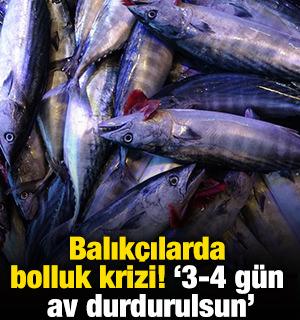 Balık&ccedil;ılarda bolluk krizi! "3-4 g&uuml;n av durdurulsun"