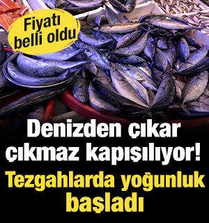 Denizden &ccedil;ıkar &ccedil;ıkmaz kapışılıyor! Fiyatı belli oldu: Tezgahlarda yoğunluk başladı
