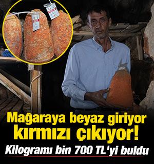 Karaman'da mağaraya beyaz giriyor, kırmızı &ccedil;ıkıyor! Kilogramı bin 700 TL'yi buldu 