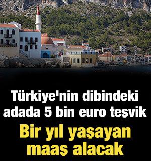 T&uuml;rkiye'nin dibindeki adada 5 bin euro teşvik! Bir yıl yaşayan maaş alacak