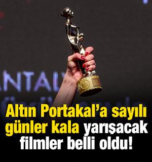 Altın Portakal'da yarışacak filmler belli oldu