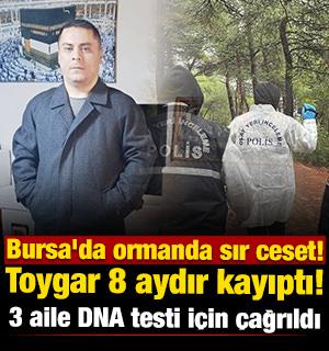 Bursa'da ormanda sır ceset! Toygar 8 aydır kayıptı! 3 aile DNA testi i&ccedil;in &ccedil;ağrıldı