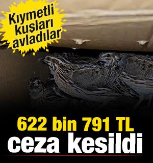 Kastamonu'da ka&ccedil;ak av cep yaptı! 622 bin 791 TL ceza kesildi 