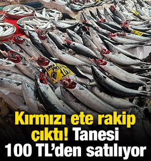 Kırmızı ete rakip &ccedil;ıktı! Tanesi 100 TL&rsquo;den satılıyor
