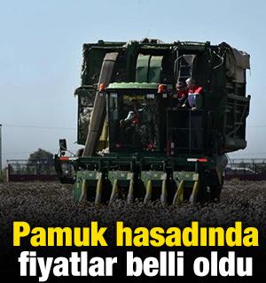 Pamuk hasadında fiyatlar belli oldu