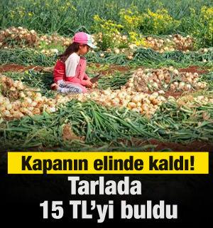Tarlada 15 lirayı buldu, kapanın elinde kaldı!
