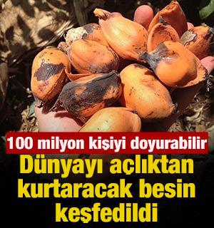 D&uuml;nyayı a&ccedil;lıktan kurtaracak besin keşfedildi