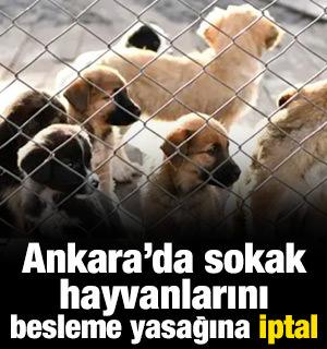 Ankara'da sokak hayvanlarını besleme yasağına iptal