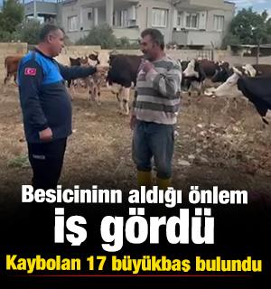 Besicinin aldığı &ouml;nlem işe yaradı! Gaziantep'te kaybolan 17 b&uuml;y&uuml;kbaş bulundu