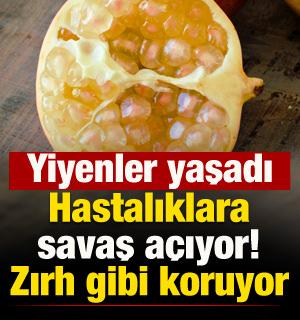 Bilen &ccedil;ok az: Yiyenleri zırh gibi koruyor! T&uuml;m hastalıklara savaş a&ccedil;ıyor