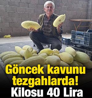 G&ouml;ncek kavunu tezgahlarda! Kilosu 40 Lira