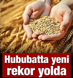 Hububatta yeni rekor yolda! &Uuml;retimde y&uuml;zde 44&rsquo;l&uuml;k artış
