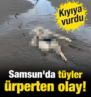 Samsun'da t&uuml;yler &uuml;rperten olay! Kıyıya insan iskeleti vurdu