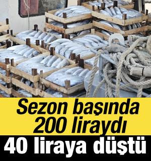 Palamut bereketi: Sezon başında 200 liraydı! 40 liraya kadar d&uuml;şt&uuml;!