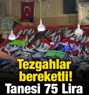 Tezgahlar bereketli! Tanesi 75 Lira