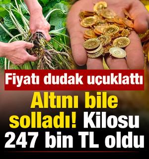 Altını ge&ccedil;ti, kilosu 247 bin TL! G&uuml;ncel fiyatı duyanları hayrete d&uuml;ş&uuml;rd&uuml;