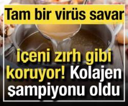 O bir kolajen şampiyonu! İ&ccedil;eni zırh gibi koruyor! Vir&uuml;sleri defediyor