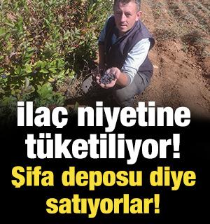 İla&ccedil; niyetine t&uuml;ketiliyor! Şifa deposu diye satıyorlar! 1 kilodan 8 litre meyve suyu