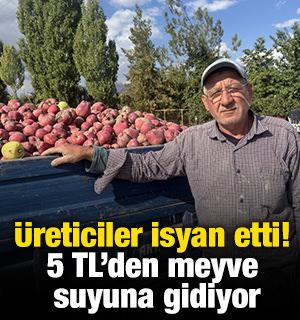 &Uuml;reticiler isyan etti! 5 TL'den meyve suyuna gidiyor