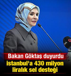 Bakan G&ouml;ktaş'tan sel b&ouml;lgesi İstanbul'a 230 milyon liralık ilave kaynak a&ccedil;ıklaması