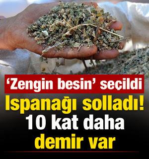 Ispanağın pabucunu dama attı: 10 kat daha demir var! Lıkır lıkır i&ccedil;in