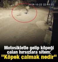 Motosikletle gelip k&ouml;peği &ccedil;alan hırsızlara sitem: "K&ouml;pek &ccedil;almak nedir"