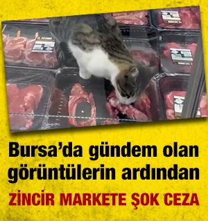 Reyonda et yiyen kedinin g&ouml;r&uuml;nt&uuml;lendiği markete para cezası kesildi