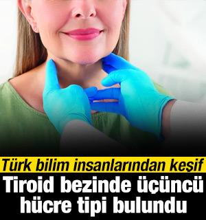 T&uuml;rk bilim insanlarından yeni keşif: Tiroid bezinde &uuml;&ccedil;&uuml;nc&uuml; h&uuml;cre tipi bulundu