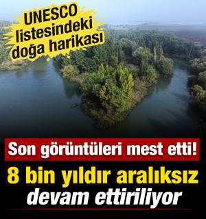 &Uuml;retimin 8 bin yıldır kesintisiz devam ettiği Hevsel Bah&ccedil;eleri sonbahar renklerine b&uuml;r&uuml;nd&uuml;