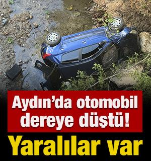 Aydın'da otomobil dereye d&uuml;şt&uuml;! Yaralılar var