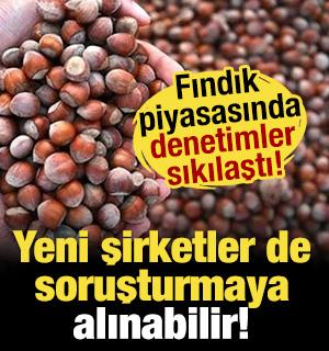 Rekabet Kurumu fındık sekt&ouml;r&uuml;ne y&ouml;nelik sıkı takibini s&uuml;rd&uuml;r&uuml;yor!